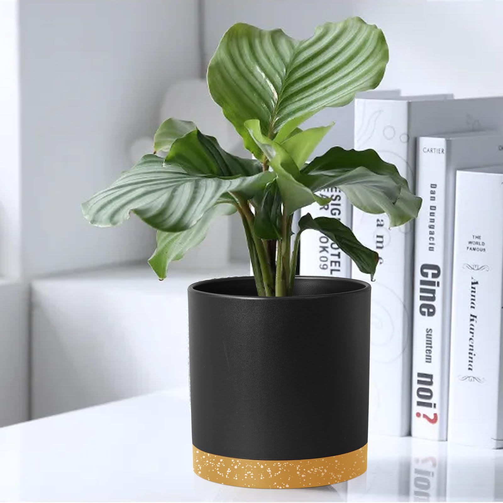 Homeuouz 5 Packs Blumentopf mit Untersetzer, 17.8/15.2/14/12.7/10.2cm Pflanzentopf, Plastik Übertopf, Hydrokultur Topf, Blumentöpfe Set Ideal für Innen und Balkongärten, Schwarz mit braunes Tablett