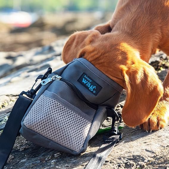 Henry Wag Pet Treat Training Bag, Storage Bag for Dog Accessories, Space for Storing and Dispensing Poo Bags, Secure Closure, Grey 2