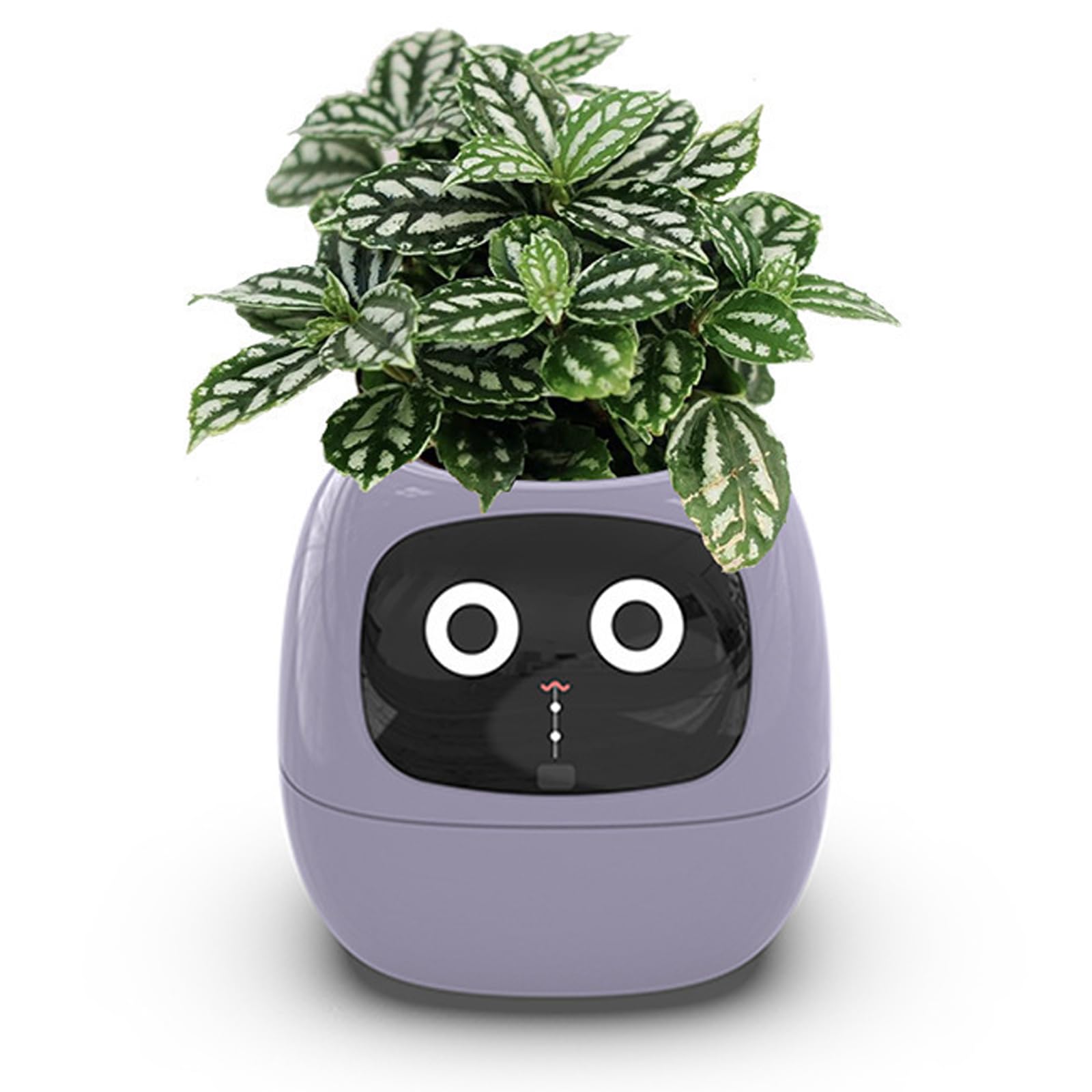 Macetas inteligentes, robot inteligente para macetas para mascotas, orientación sobre el cuidado de las plantas con emojis, interacción de gestos enriquecidos, 7 sensores inteligentes chips Ai Purple