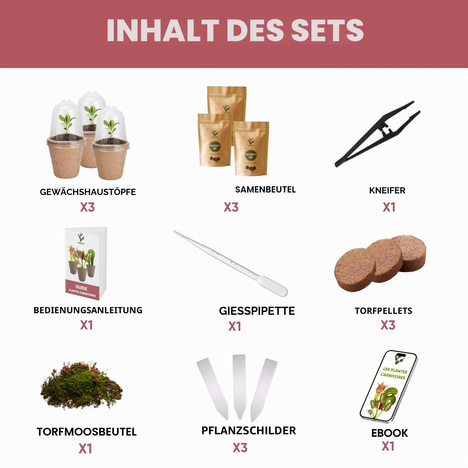NOPALIA® Premium Fleischfressende Pflanzen-Set – Dionaea, Darlingtonia & Sarracenia – Komplettes Set mit Gewächshaus, Töpfen, Torf & Sphaigne – Ungewöhnliches & Lehrreiches Weihnachtsgeschenk – DIY