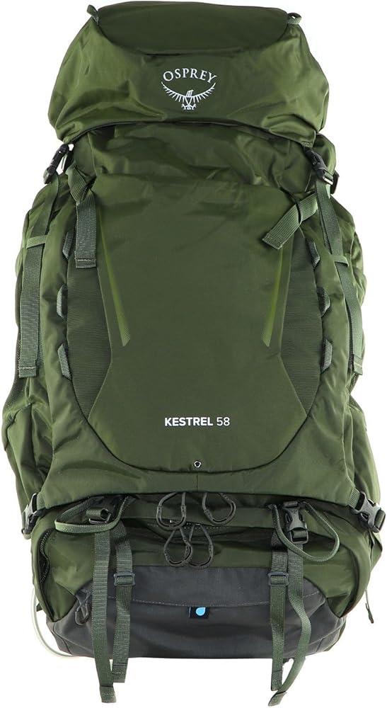 Amazon.co.jp: [Osprey] バックパック。 Kestrel Men's Backpack