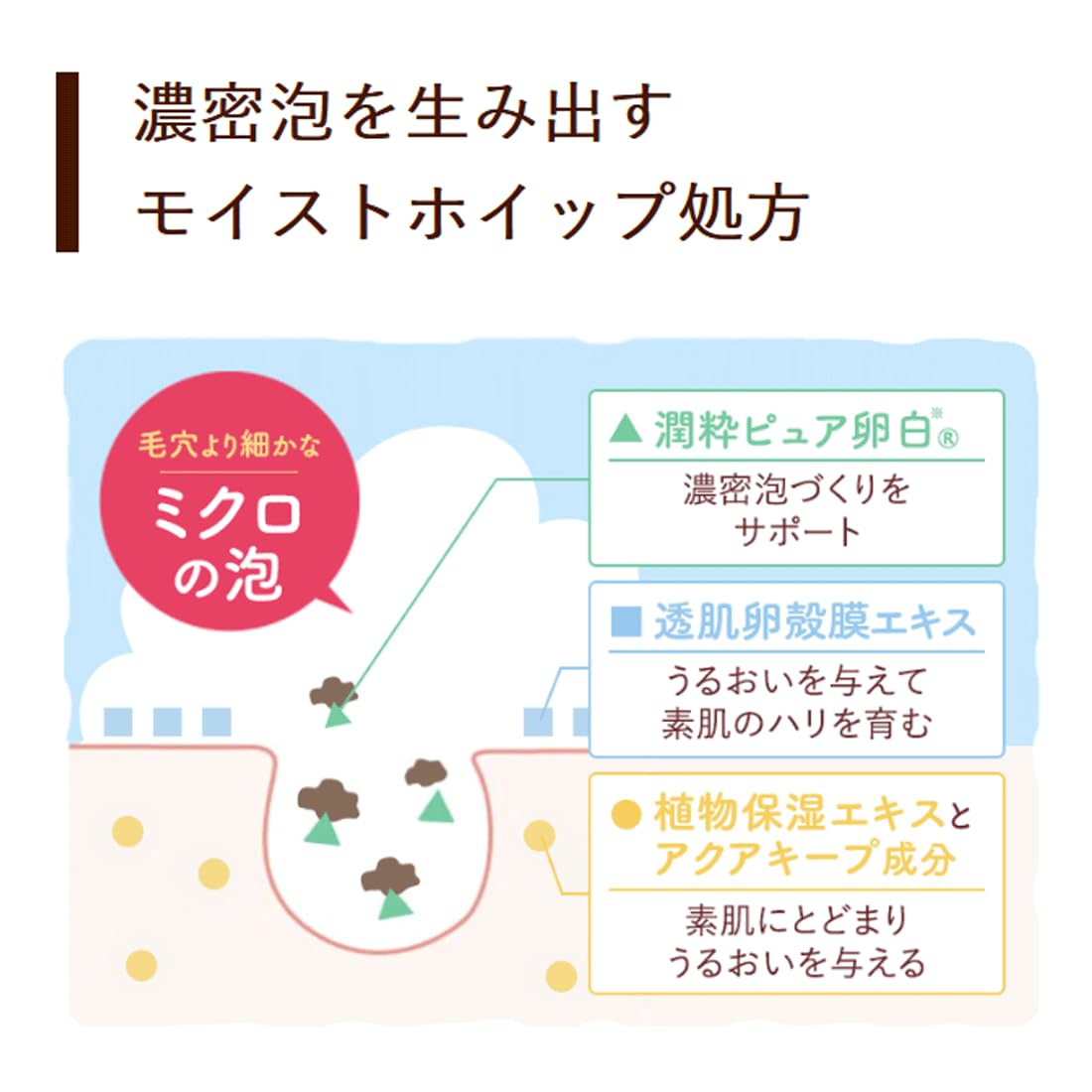 Amazon | 健康家族 RANRICH 卵白ホイップ 50g 洗顔石鹸 卵白 卵殻膜