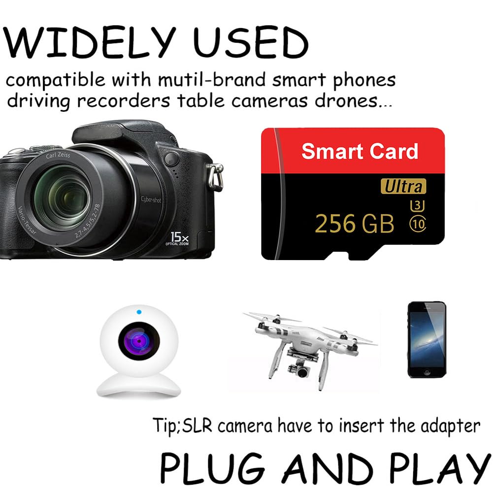 Scheda di memoria da 256 GB Mini TF Card ad alta velocità Smart Card per telefoni Android, Action Camera, Tablet