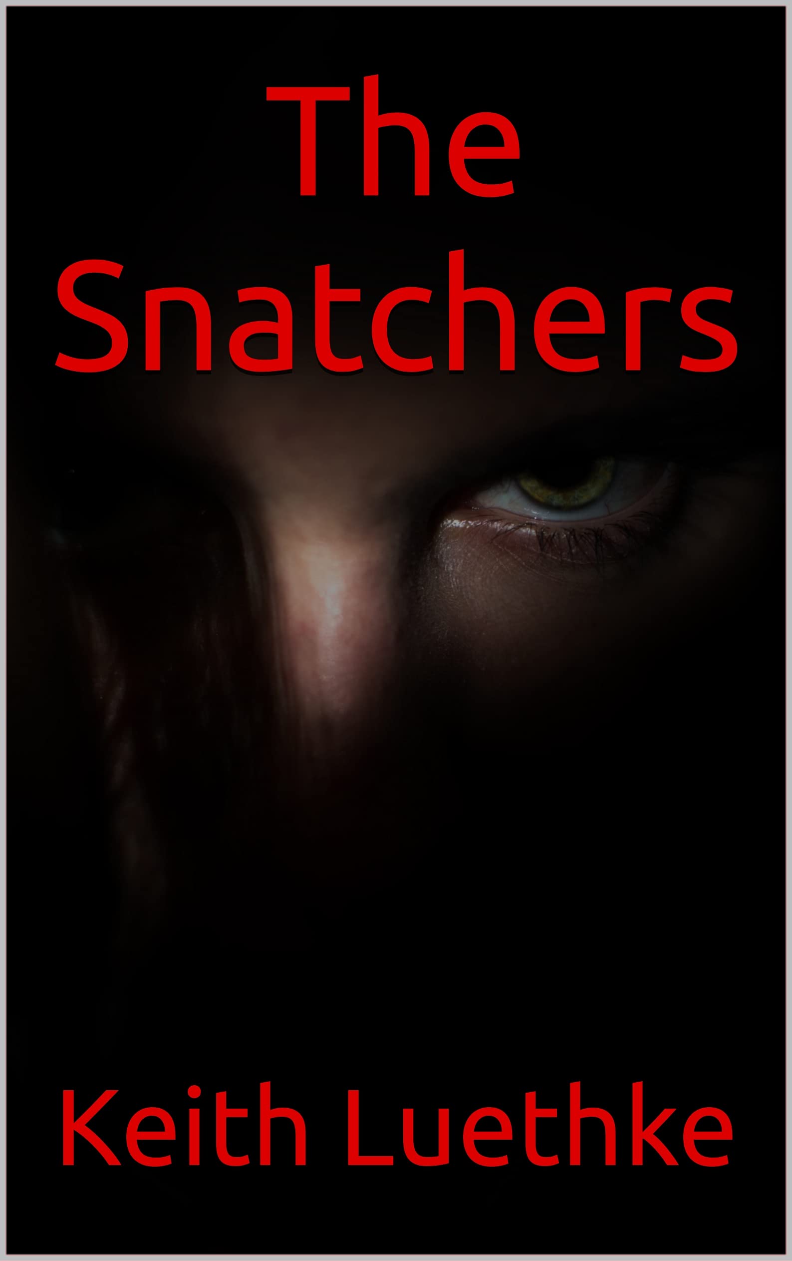Cover of The Snatchers