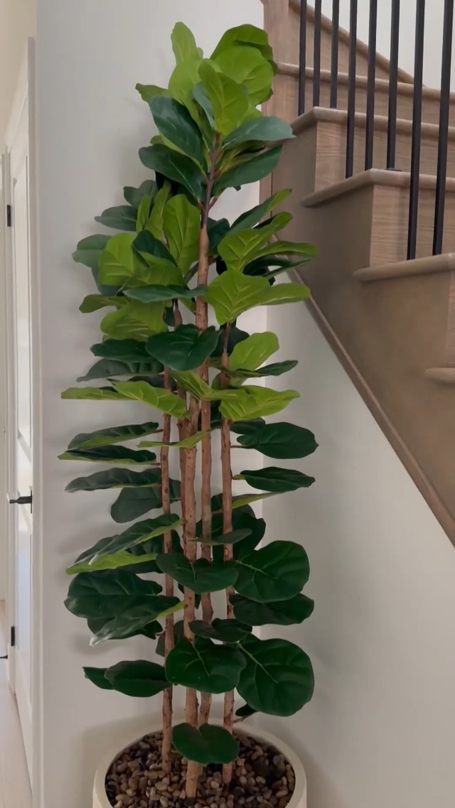 Amazon.com: OAKRED Artificial Fiddle Leaf Fig Tree with White
