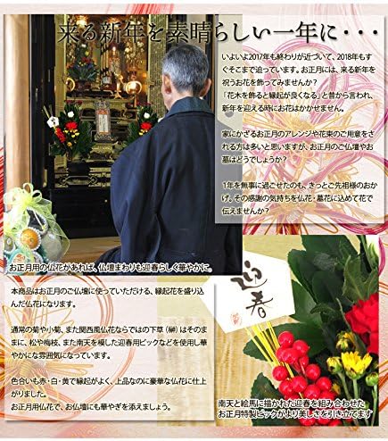 Amazon Co Jp 正月 迎春 正月飾り 生花 仏花 仏壇花 おもちゃ