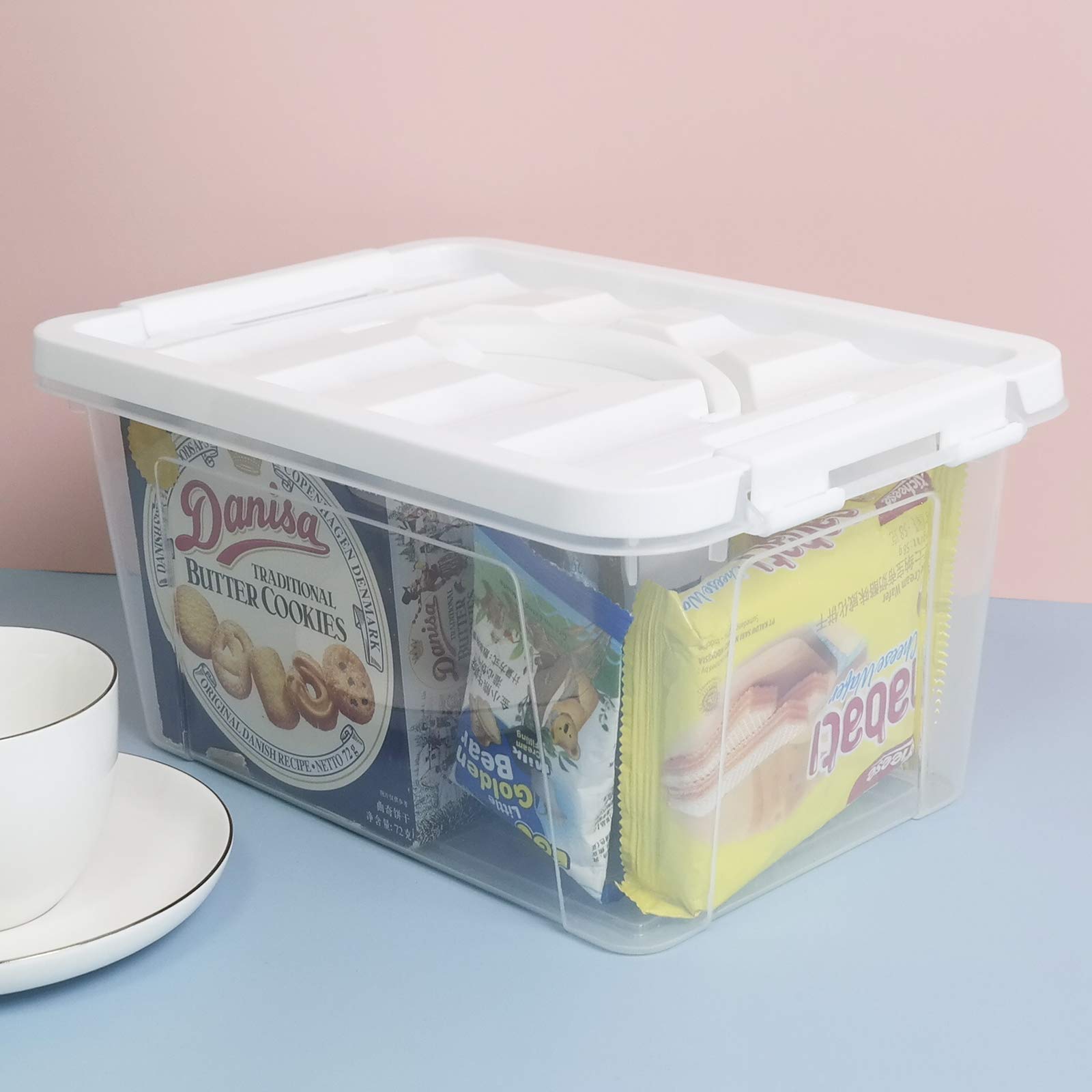 Hespama Lot de 6 boîtes en plastique transparent avec couvercles, conteneurs de rangement de 5 l