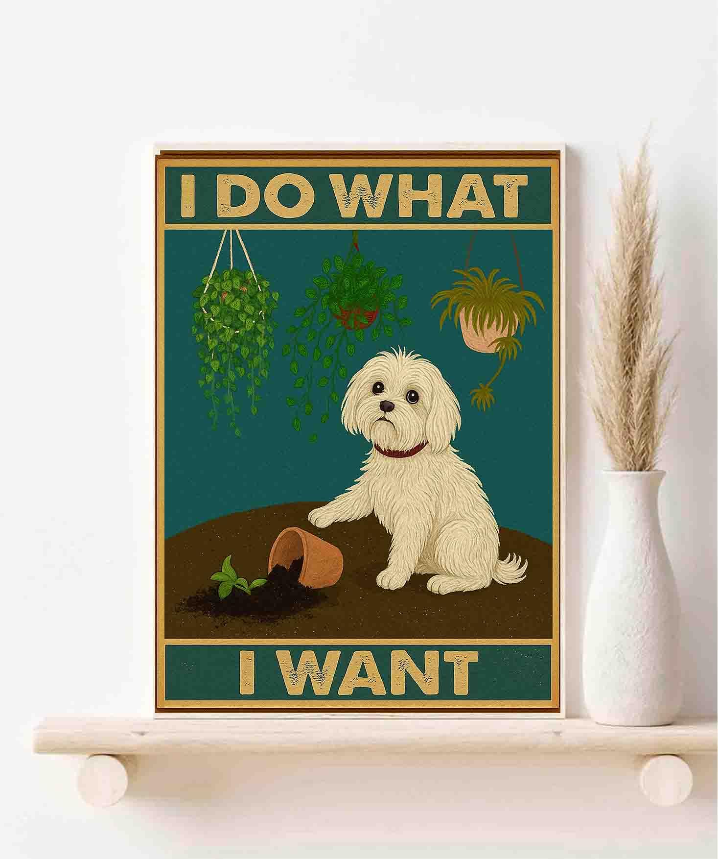 Póster de perro maltés gracioso para decorar habitaciones de amantes de los animales 2