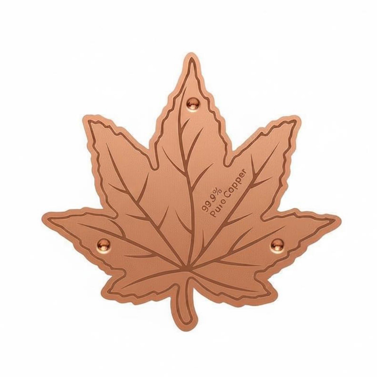 Bird Bath Disk Chemicalnon-Chemical Birdbath Purification Disc Easy to Place Copper Cleaning Disk, Style a | Home & Garden | Yard, Garden & Outdoor Living | Bird & Wildlife Accessories-image-41