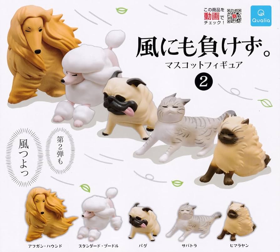 マルガチャ　セット 水作 水作 飼育セット コア S 5点セット エアポンプ・投込