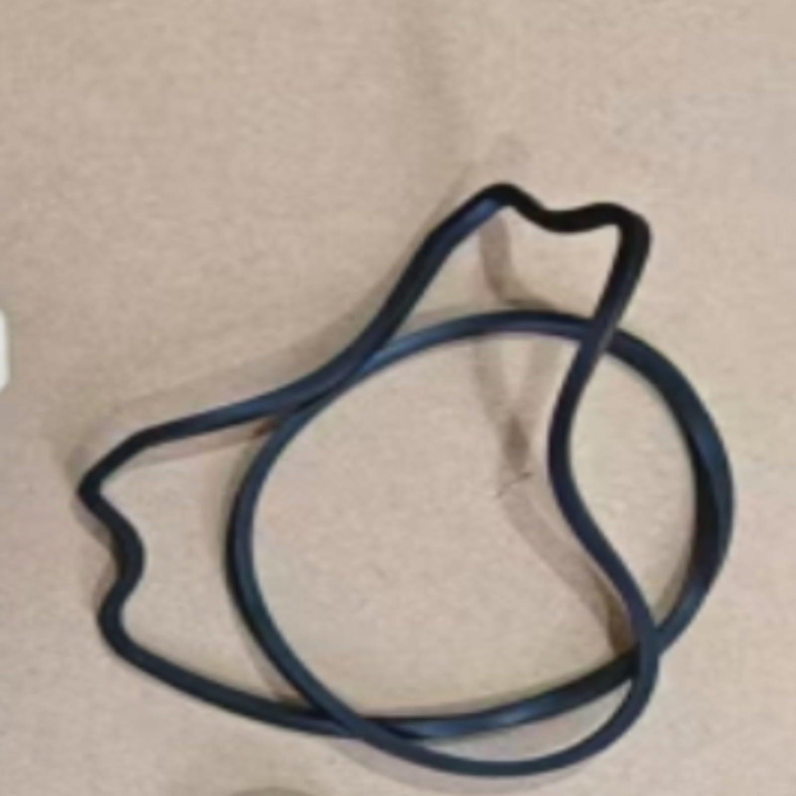 per la piastra di tenuta di ricambio e la guarnizione dell'albero per pompe Pentair, adatto per WhisperFlo per modelli IntelliFlo, OE 5074-18A 074564, kit PET per la prevenzione delle perdite