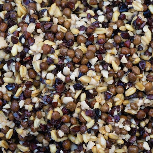 Winter Spod Mix for Carp fishing - Bait - FREEZER BAIT 10KG