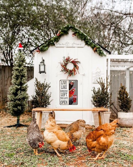 Miniatura 7 de Chiken Gifts - Letrero de lata con diseño vintage de pollo con texto en inglés "Live Like Someone Left The Gate", para el hogar, gallinero, granja,