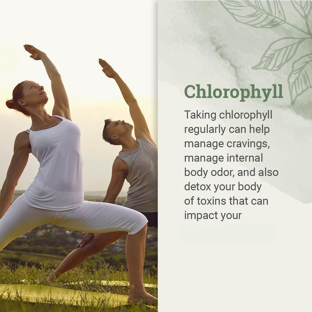 Chlorophylle liquide pour favoriser le bien-être digestif et la vitalité naturelle du corps