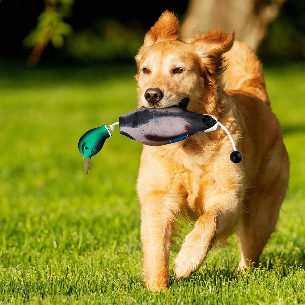 Pare-chocs en forme de canard imite un dummy de canard comme jouet de pare-chocs pour l'entraînement des chiots ou des chiens de chasse adultes