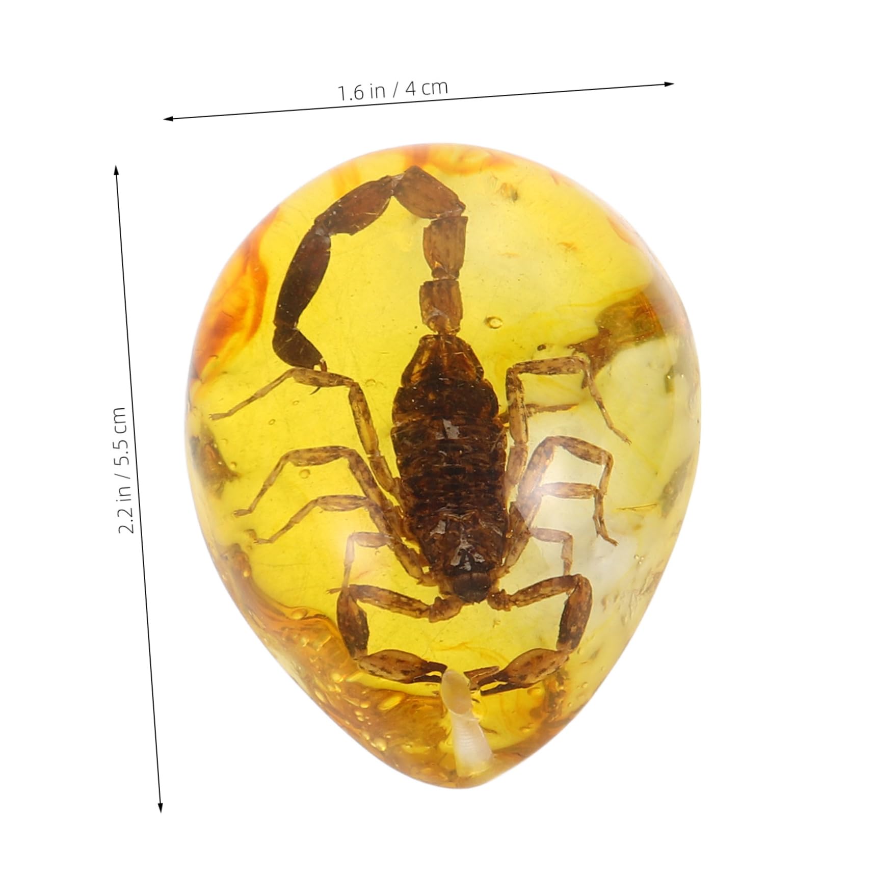 JOINPAYA 3pcs Amber Specimen Amber Pendant DIY Insect Amber Insect Amber Ornament Insect Amber Decor for DIY Crafts Amber Insect Specimen Pendants Decorative Amber Crafts Resin