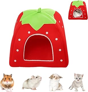 JazRvr 1 Stück meerschweinchen, meerschweinchen zubehoeres, meerschweinchenes, meerschweinchenes Spielzeug, meerschweinchens zubehör, Ratten Zubehörs Für Zwergkaninchen, Hamster product image