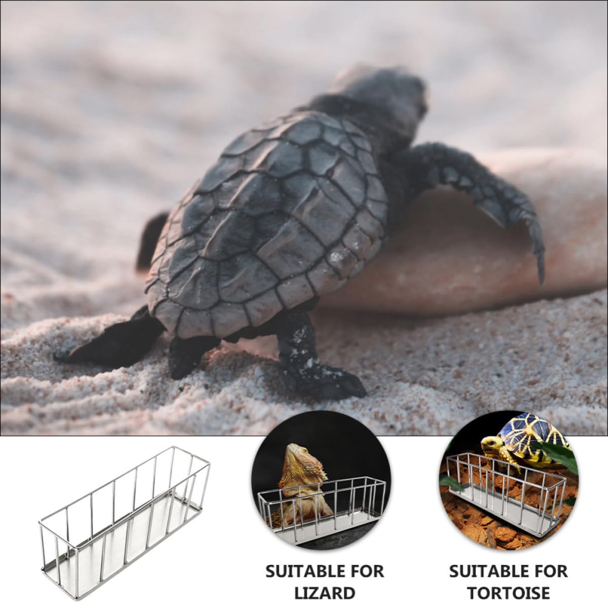 Alipis Plato de Acero Inoxidable para Reptiles, Comedero para Reptiles y Anfibios, Superficie Lisa, Fácil Alimentación, Plata
