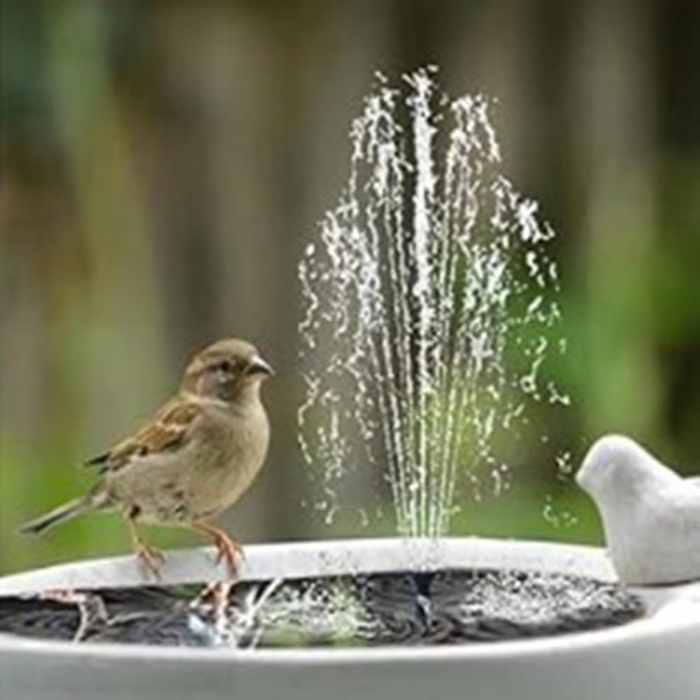 Fontaine solaire d'extérieur 2 W pour oiseaux