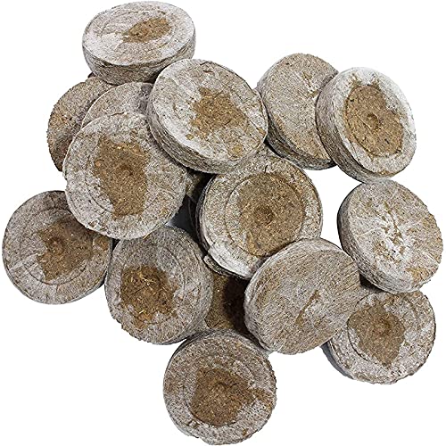 KTMAID Comprimés à base de noix de coco pressés sans picotement - Avec nutriments - Pelote de fibres de coco compressées - Pour débutants, engrais de semences - Bloc de nutriments (50) Cover