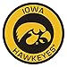 FANMATS 18610 University of Iowa Roundel Mat