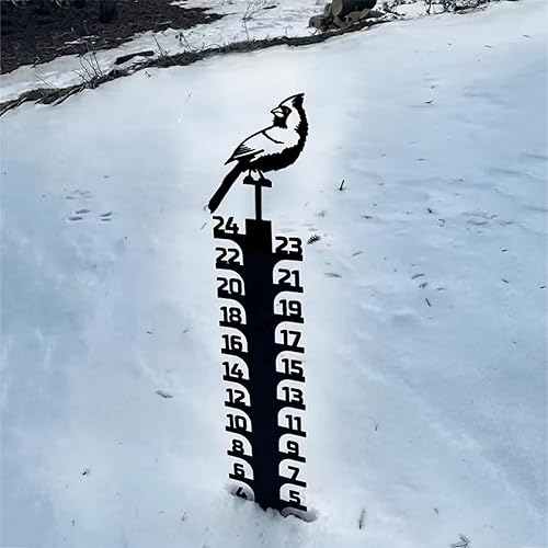 LiveGo Iron Art - Medidor de nieve de 24 pulgadas, medidor de medición para exteriores, palo de medición de nieve desmontable de metal, estacas de