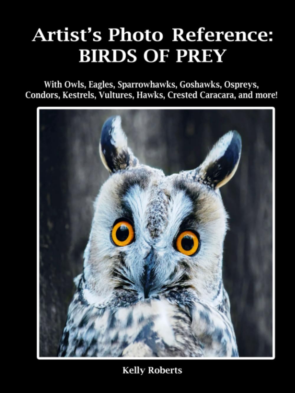 Artist's Photo Reference: Birds of Prey: With Owls, Eagles, Sparrowhawks, Goshawks, Ospreys, Condors, Kestrels, Vultures, Hawks, Crested Caracara, and more! (Paint & Draw Reference Photos)