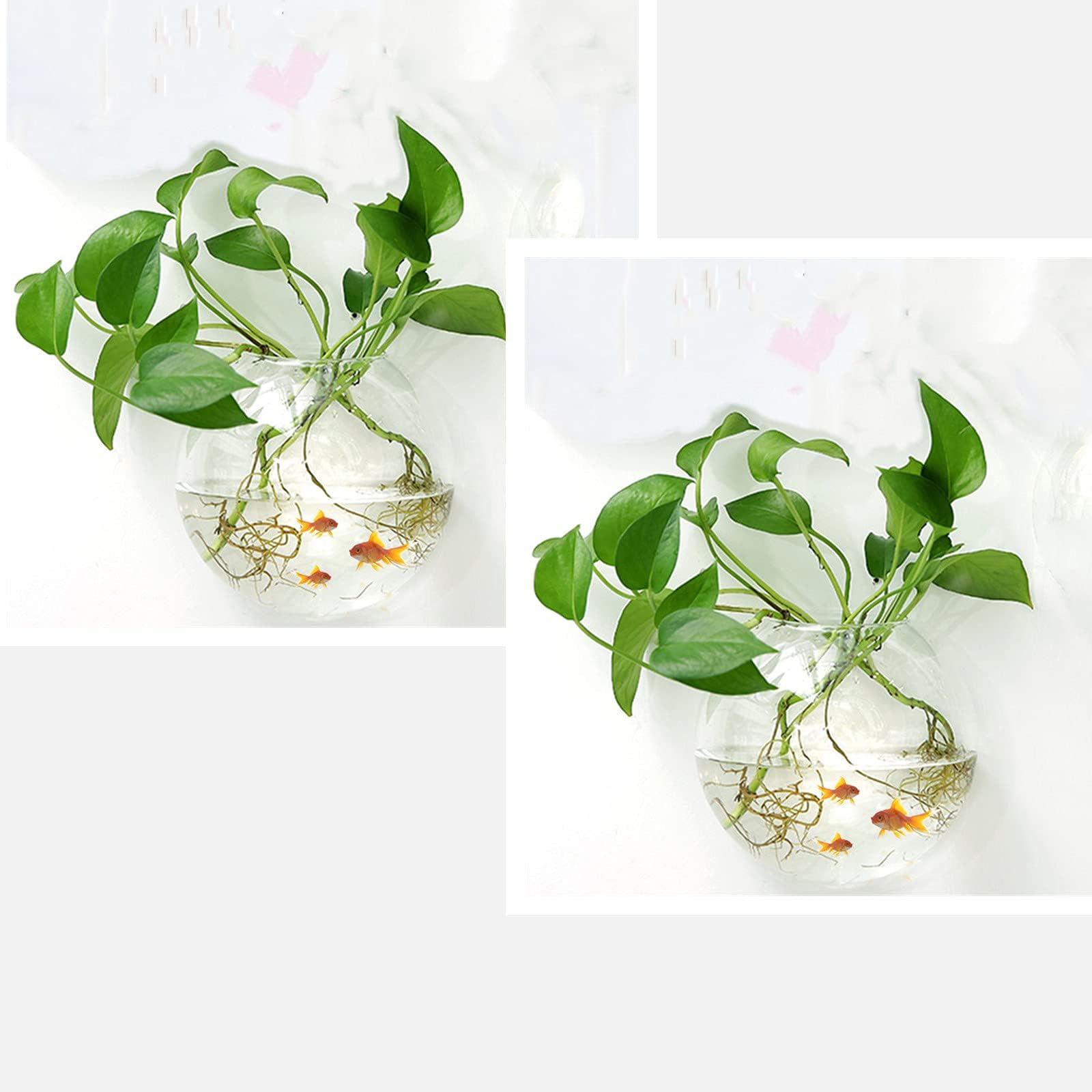 Sweetsea Hanging Wall Mounted Fish Bowl Betta Tank