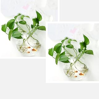 2Pack Wall Hanging Fish Tank,Mounted Fish Bowl Betta Tank Fish Plant Tanks Hanging Fish Bowl Plant Vase Home Decoration Pot