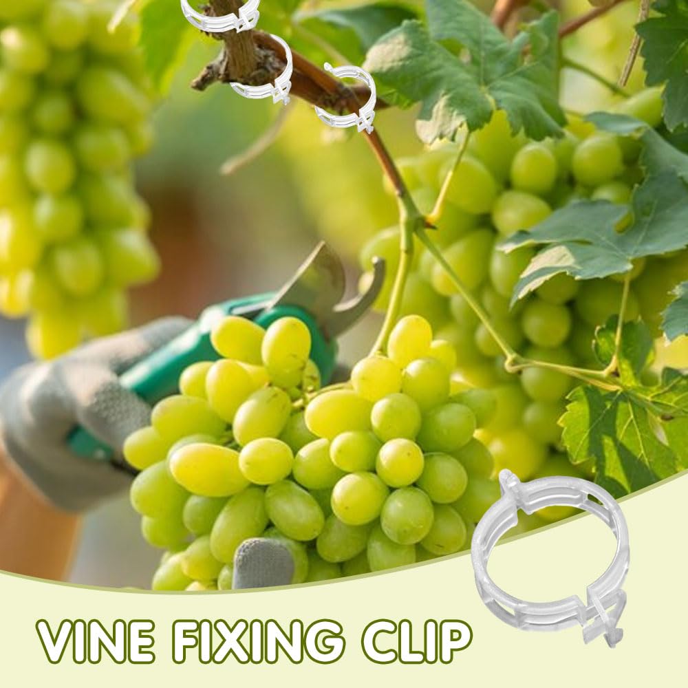 Plant Fixing Clip, Tomato Clips for String Trellis, Plant Wall Clips for Climbing Plants, Plant Wall Clips for Climbing Plants, Fixing Stem and Vine, Plastic Trellis Clips (Green-100pcs)
