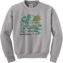 Types of Dinosaurs Kids Sweatshirt Youth