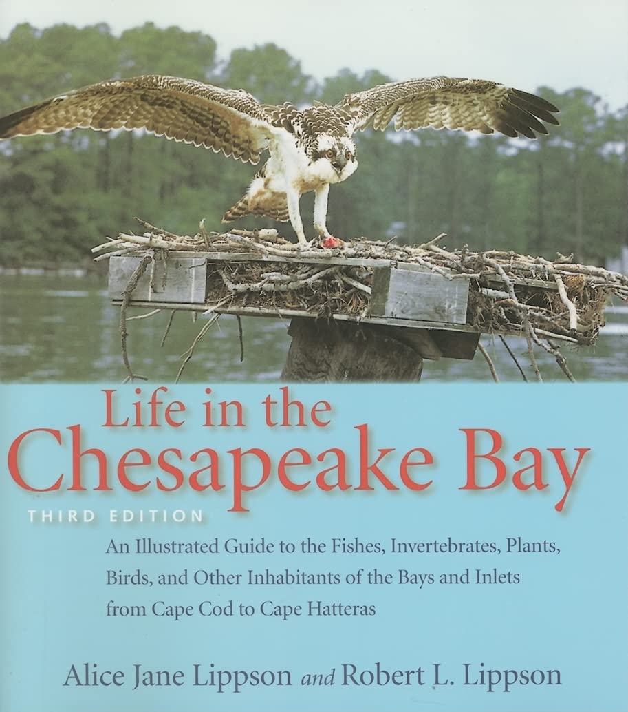 Life in the Chesapeake Bay      Paperback – June 19, 2006