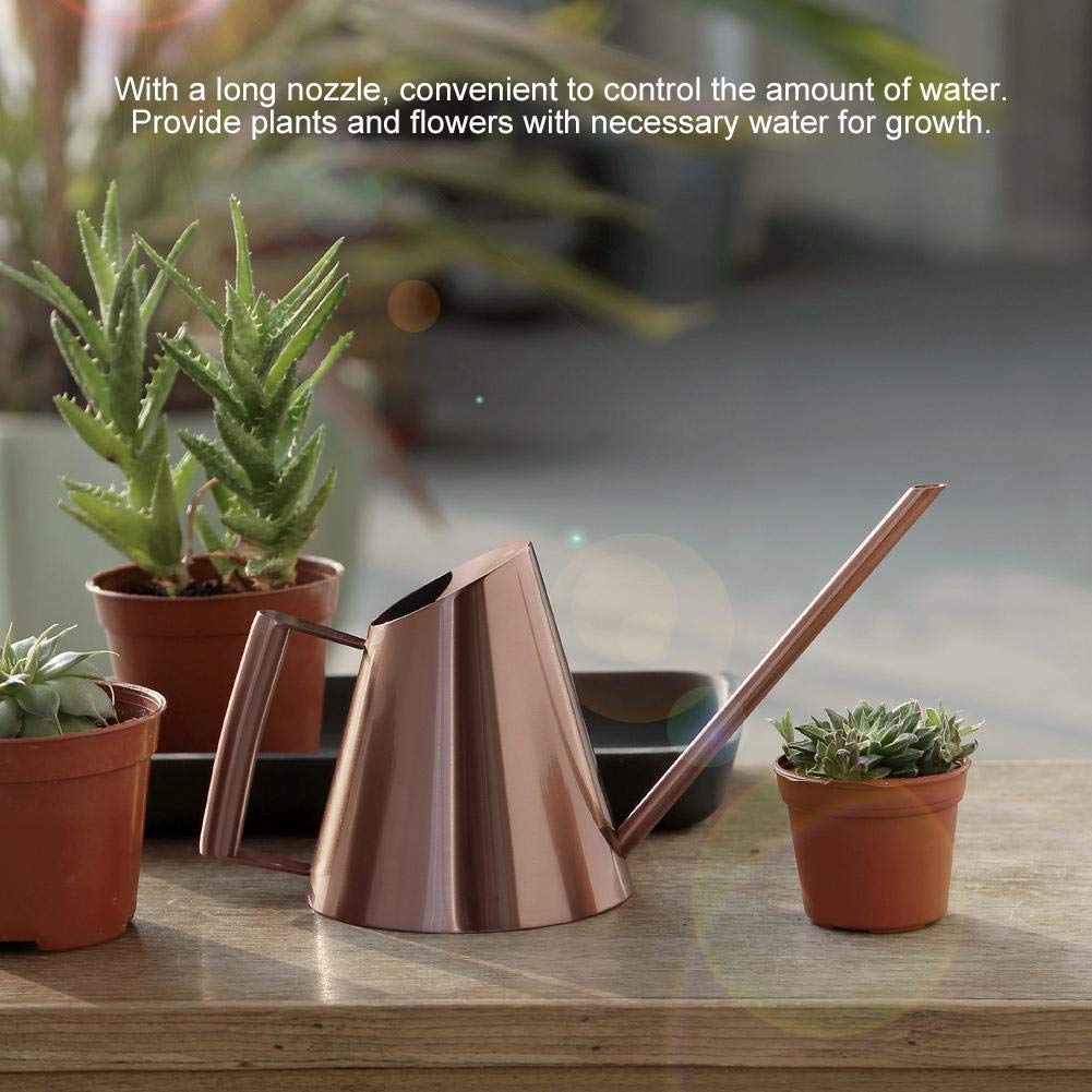 Haushalts-Bonsai-Edelstahl-Gie?kanne, mini Gebrsteter  Innenhaus-Pflanzen-Langer Tllen-Gie?kanne-moderner Art-Gie?kanne,  RosGold(M): Amazon.de: Garten