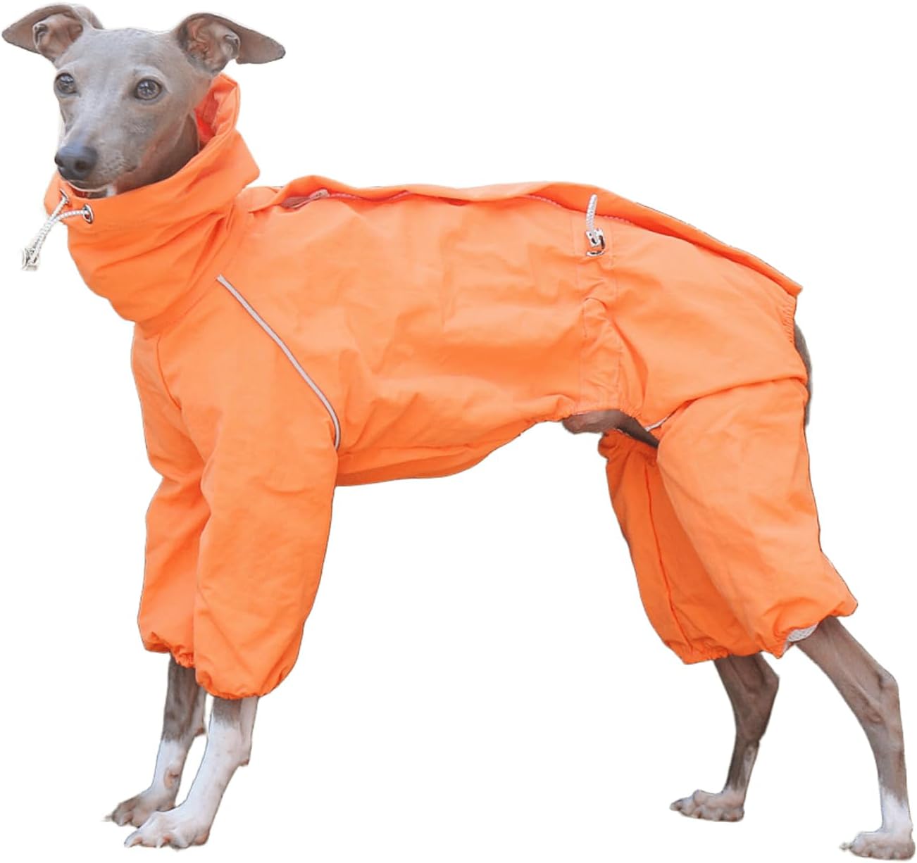 Italian Greyhound Dog Raincoat Jacket with Reflective Strip & Adjustable Drawstring Full Body Pet Jumpsuit with Zipper Whippet Rain Jacket Clothes for Large Dogs
