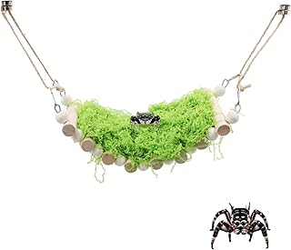 Jumping Spider Enclosure Accessories, Wooden Bridge with 7 Steps and Green Clusters Simulate Moss, Magnetic Jumping Spider Habitat Enclosure Decor