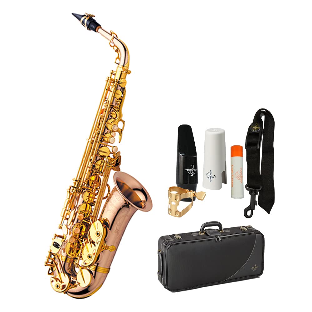 Amazon.co.jp: YANAGISAWA A-WO20 アルトサックス ブロンズブラス製 