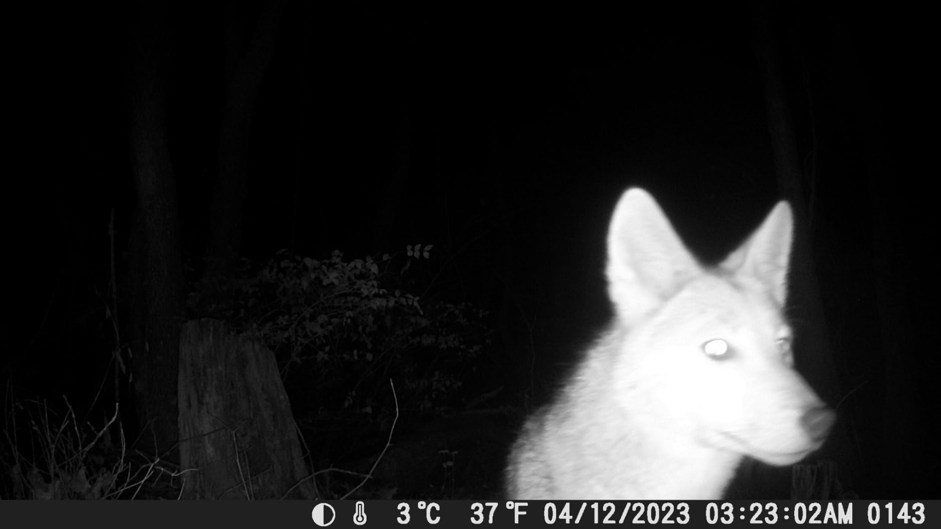 Det svåraste är att hitta den bästa platsen att lägga den på.