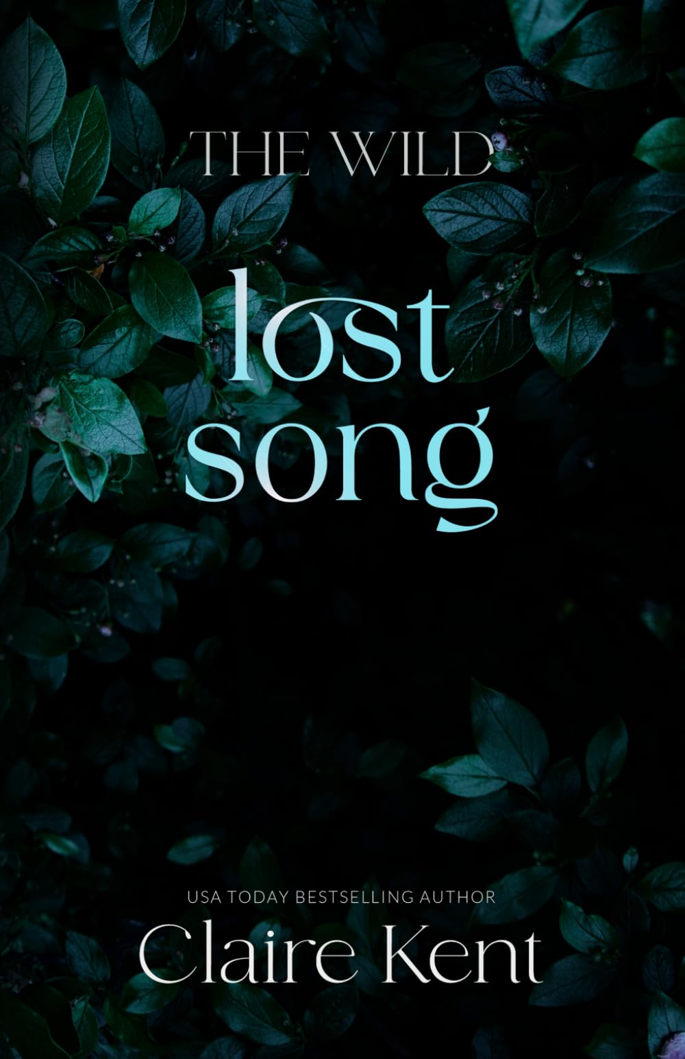 Lost Song (The Wild)