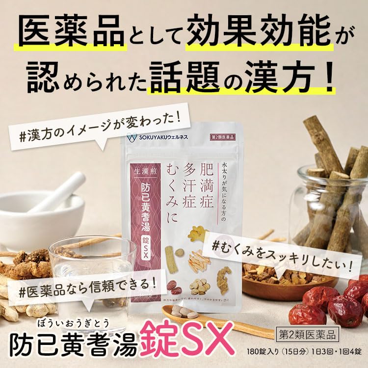 生漢煎茶1袋　防已黄耆湯 SX 3袋 公式／第2類医薬品 生漢煎 防已黄耆湯 錠SX 180錠入（15日分×6袋