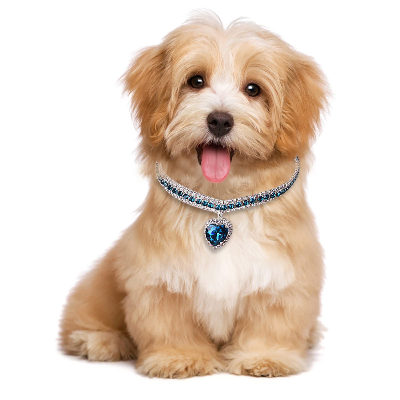 Haustier-Halskette Mit Diamanten – Für Kleine & Mittelgroße Katzen & Hunde – Strass-Halsband In Rosa, Blau, Weiß & Mehr – Verstellbar Mit Sicherheitsschnalle