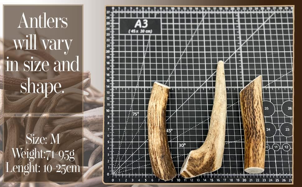 Antler Dog Chews by Antler Chew - 3-Pack Medium (71-90g, From 10cm), 90 g (Pack of 3) - Image 4