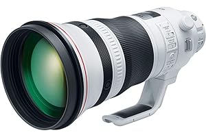 Canon EF 400mm f/2.8L is III USM Lens, Black