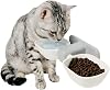 Cat Food Bowl, Elevated Cat Bowls, Cat Bowls for Food and Water, Wall Mounted Cat Food Water Bowls Set, Hanging Water Bowl for Cats, Dog Proof Cat Feeding Station, Cat Water Bowl (white)