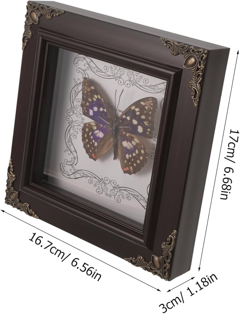 Amazon.co.jp: TOPPERFUN 大蛱蝶標本フレームデコレーション