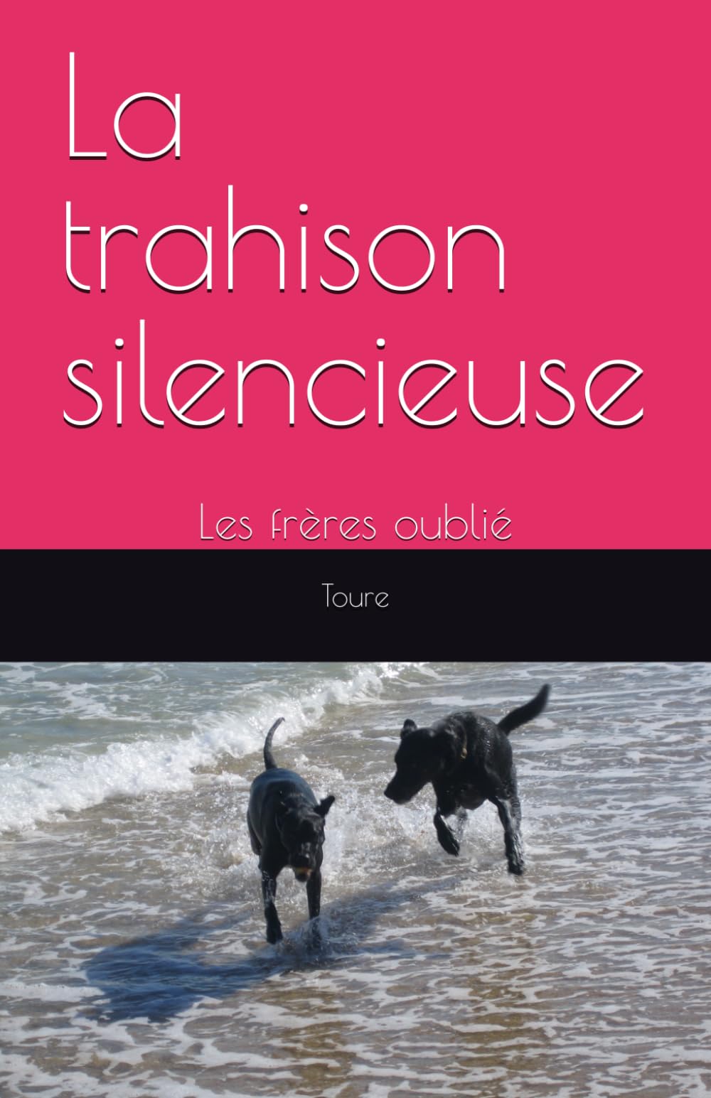 La trahison silencieuse: Les frères oublié