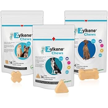 Zylkene 75 Mg 100 Capsules Cats Small Dogs Amazon Co Uk Pet Supplies