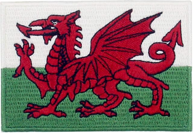 EmbTao Wales Flag Patch Embroidered Welsh Applique Iron On Sew On Emblem