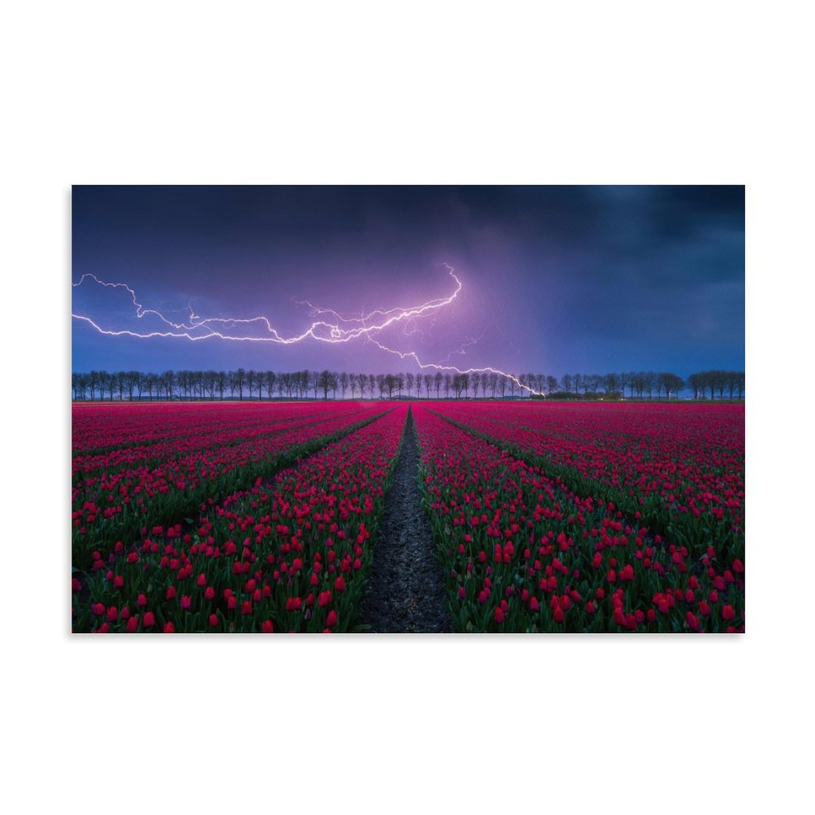 Sky Lightning And Tulip Field Landscape Poster Canvas Wall Posters And Art Prints, Modern Home Bedroom Decoration Posters, Living Room Entrance Posters, Student Dormitory Cafe Billiard Hall Restaurant