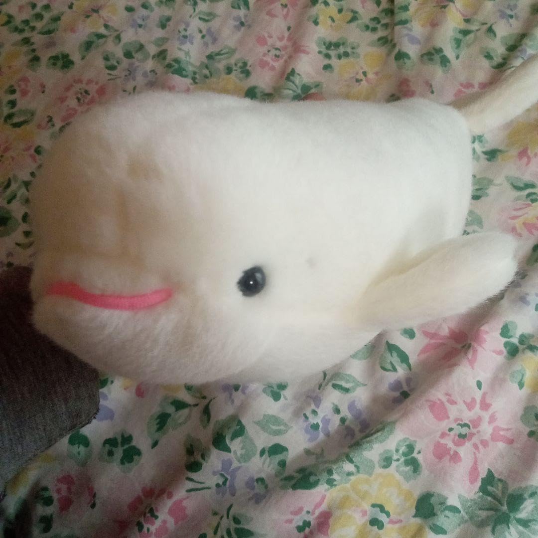 美品　名古屋港水族館シロイルカ　ベルーガぬいぐるみ特賞95センチ m84051759434_1.jpg?1732618118