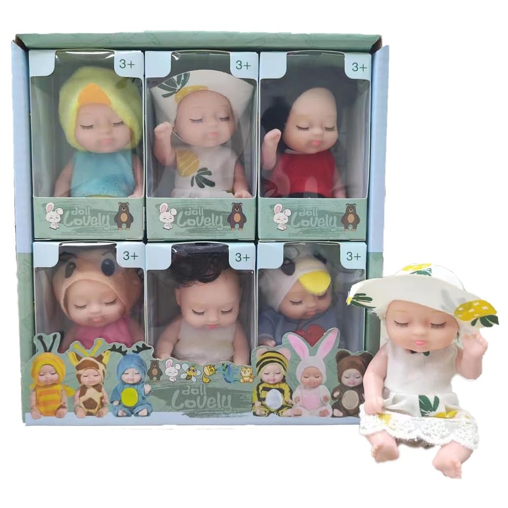 Mini Rebirth Decorative Ornaments, 6pcs Gift Box Miniature Decorative Ornaments Outfit